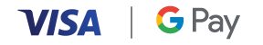 Visa_Google_Pay_Logo.png